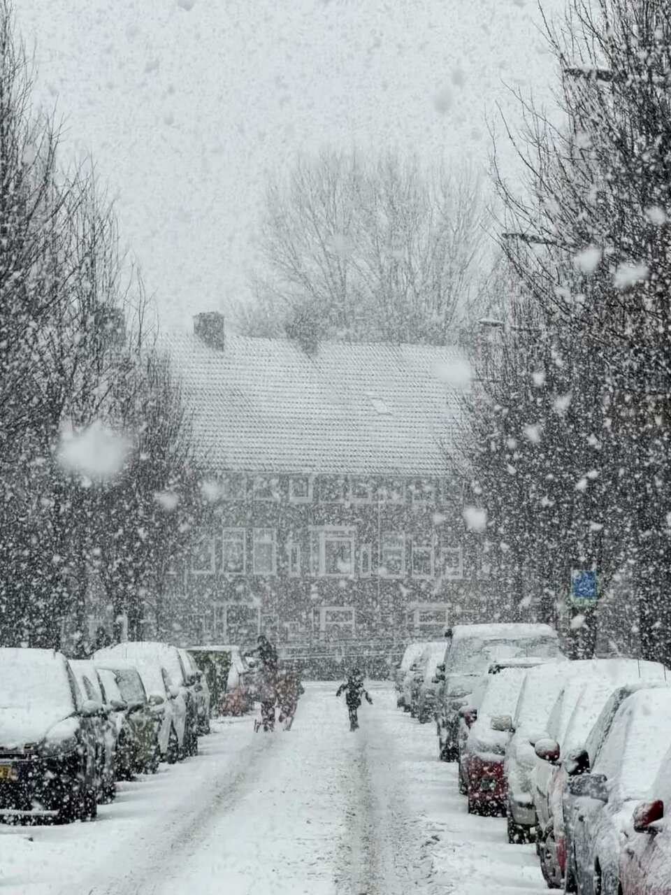 Straße mit Schnee und links und rechts geparkten Autos sowie einem Haus am Ende der Straße